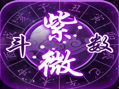 紫微正照|紫微斗数之术语总结（二）